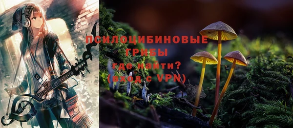 прущая мука Гусиноозёрск