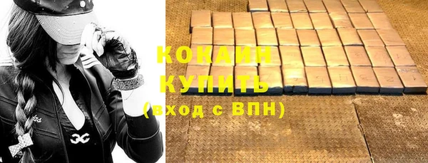спайс Гусев