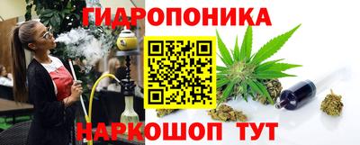 кокс Гай