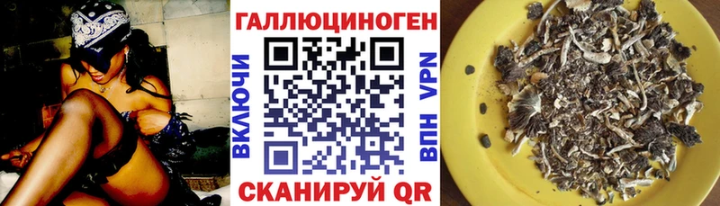 Галлюциногенные грибы Psilocybe  shop Telegram  Дмитров  kraken  