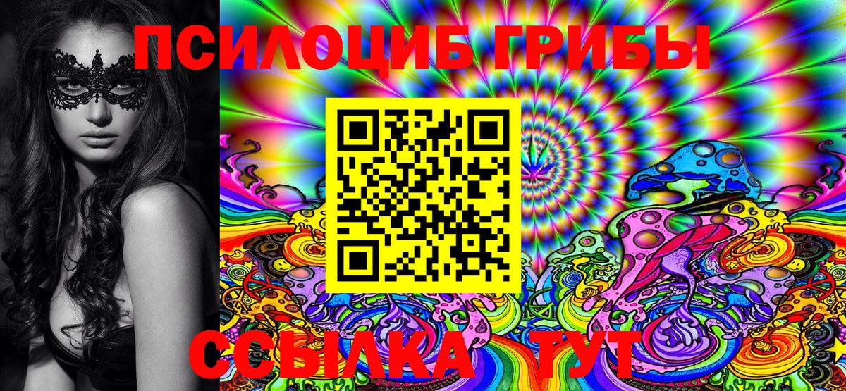 Псилоцибиновые грибы Cubensis  Галлюциногенные грибы мухоморы  Дмитров 