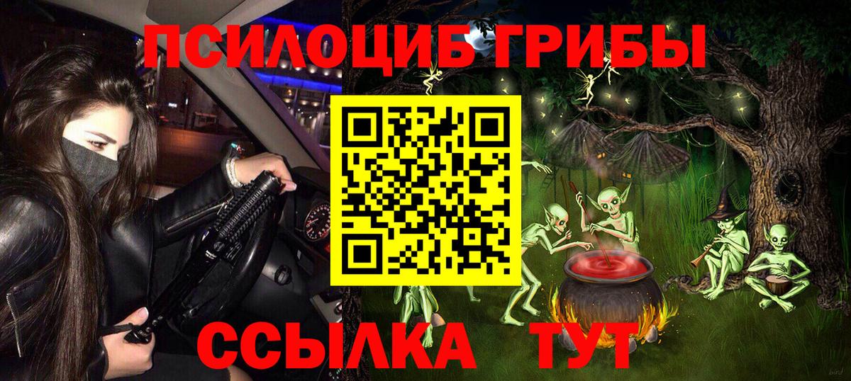 Псилоцибиновые грибы GOLDEN TEACHER Дмитров