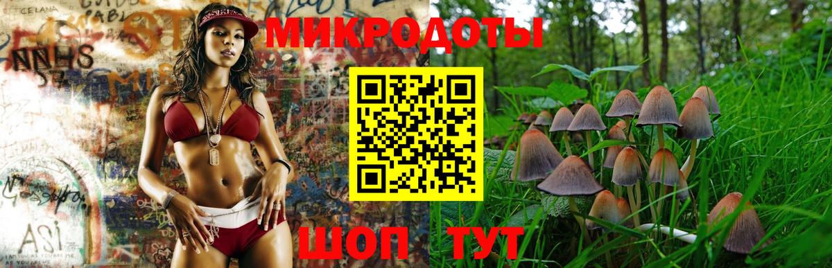 Дмитров  Галлюциногенные грибы Cubensis  Вход с VPN 